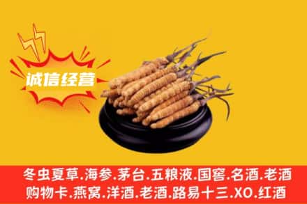 海淀区回收冬虫夏草